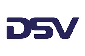 DSV - Client Logo